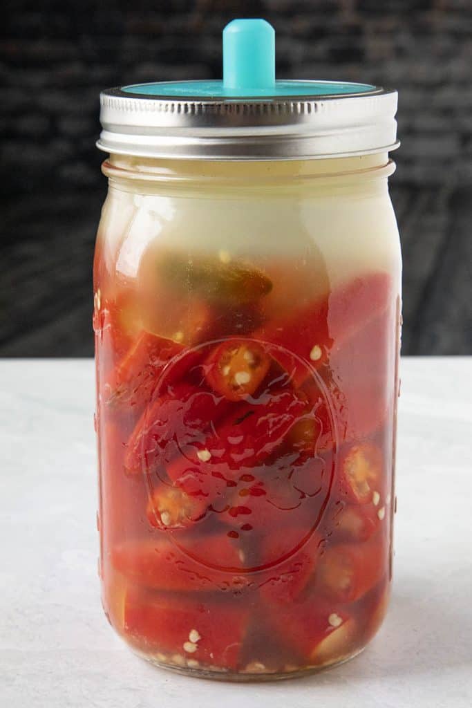 Fermented Hot Sauce Chili Pepper Madness