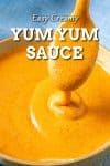 Yum Yum Sauce Recipe