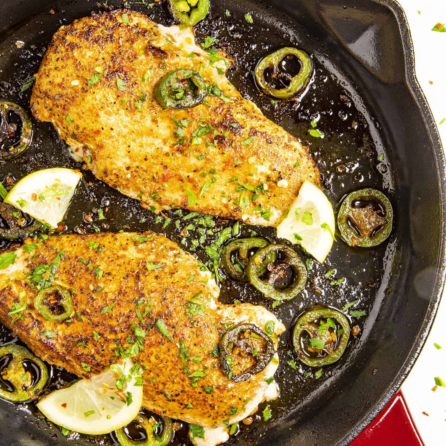Blackened Chicken - Chili Pepper Madness