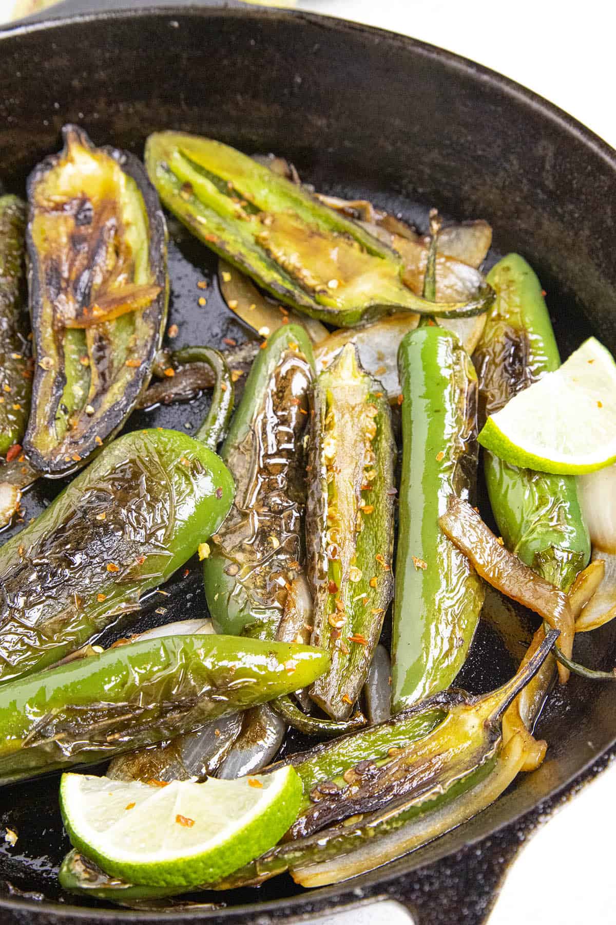 Freshly blistered chili peppers, or chiles toreados