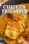Chicken Fricassee Recipe
