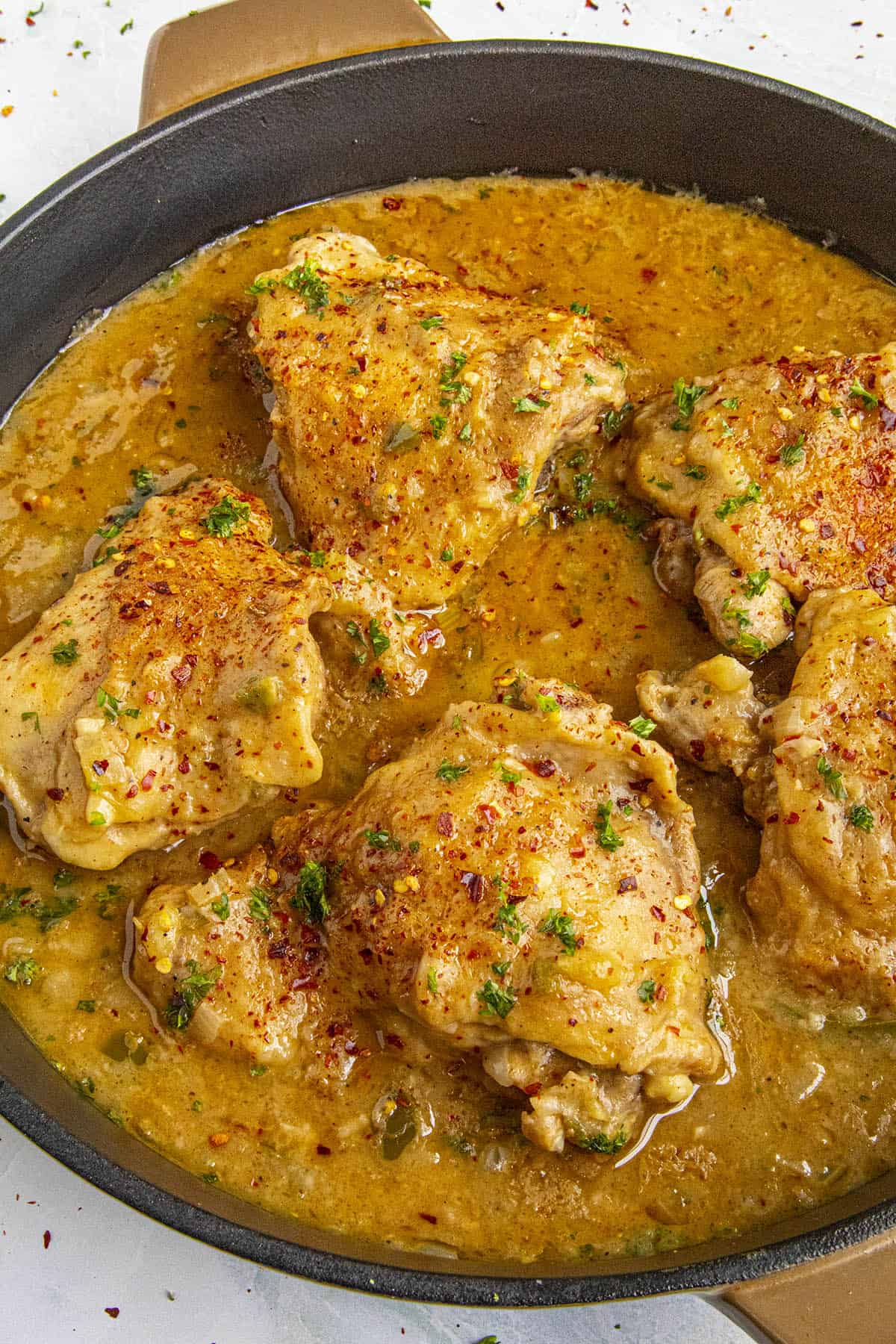 Chicken Fricassee in a pan