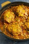 Chicken Paprikash Recipe