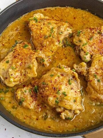 Chicken Fricassee in a pan