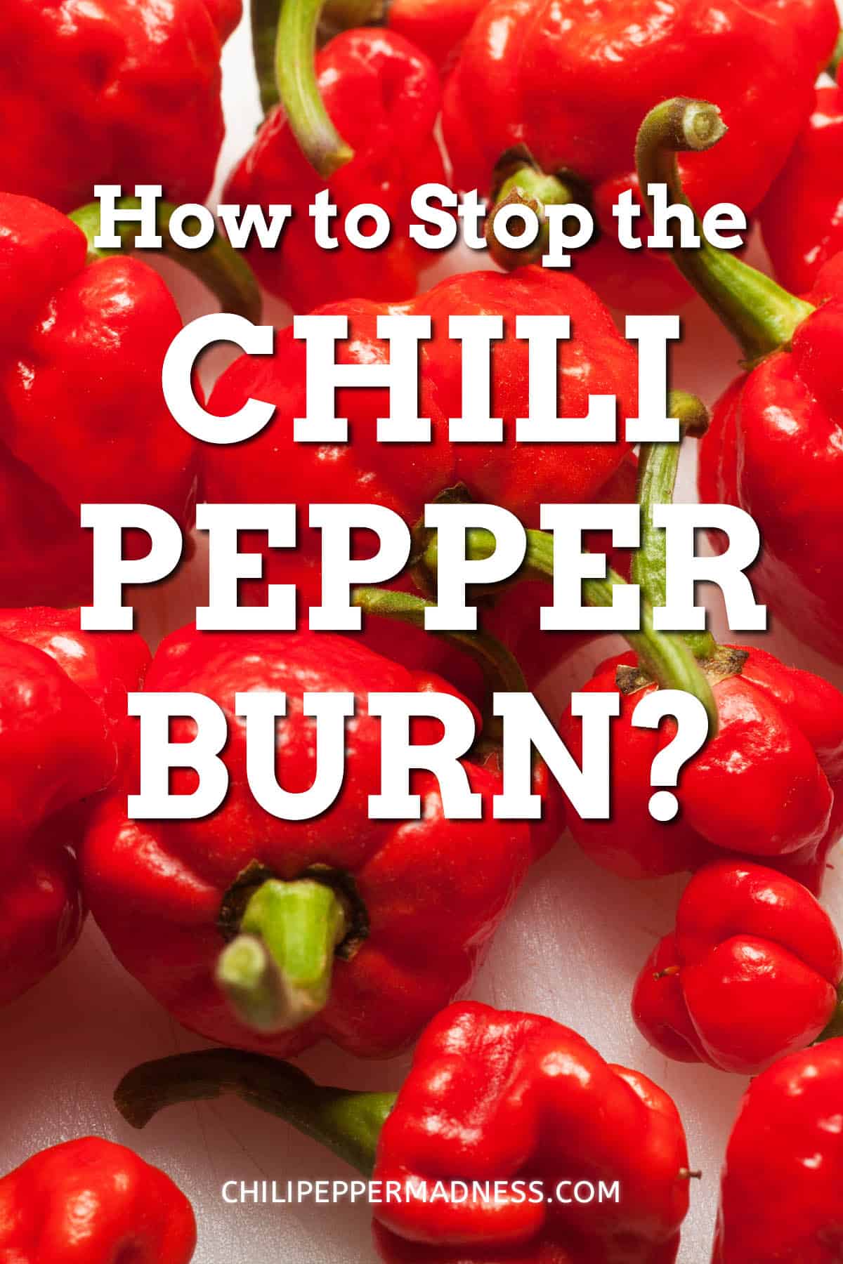 How Do You Stop the Chili Pepper Burn? - Chili Pepper Madness