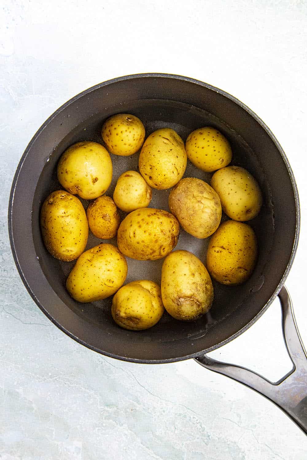 Small potatoes for making papas arrugadas in a pot with salted water