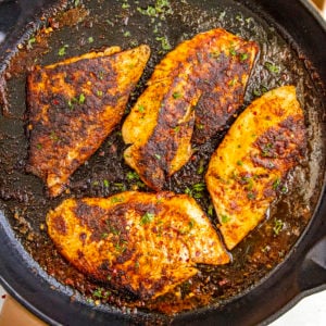 Blackened Fish Recipe
