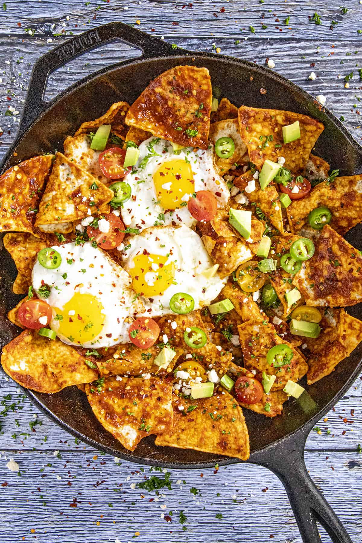 Chilaquiles Rojos with Ancho Chili Sauce - Recipe - Chili Pepper Madness