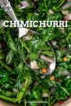 Chimichurri Recipe