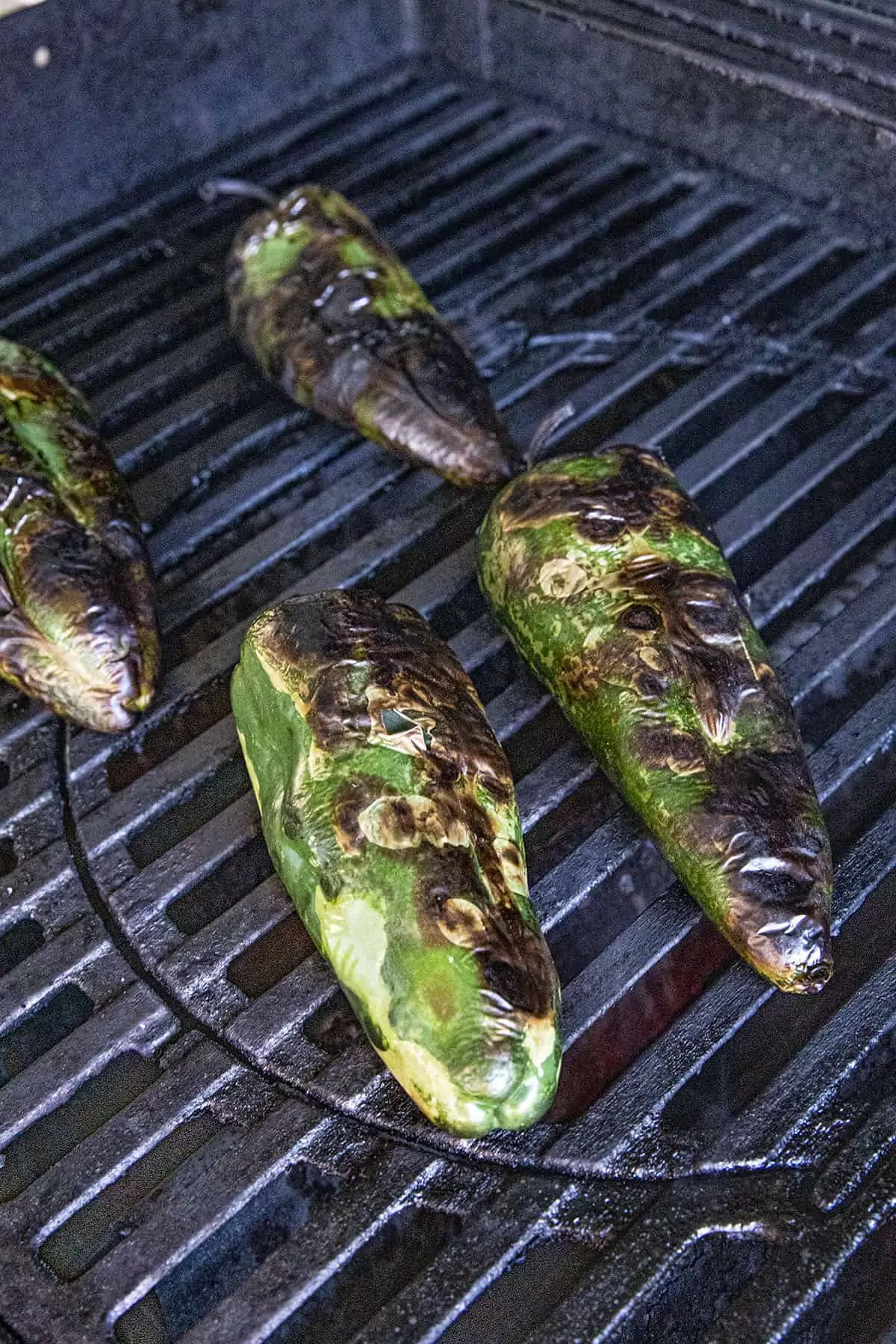 Grilling Poblano Peppers on a grill to char their skins