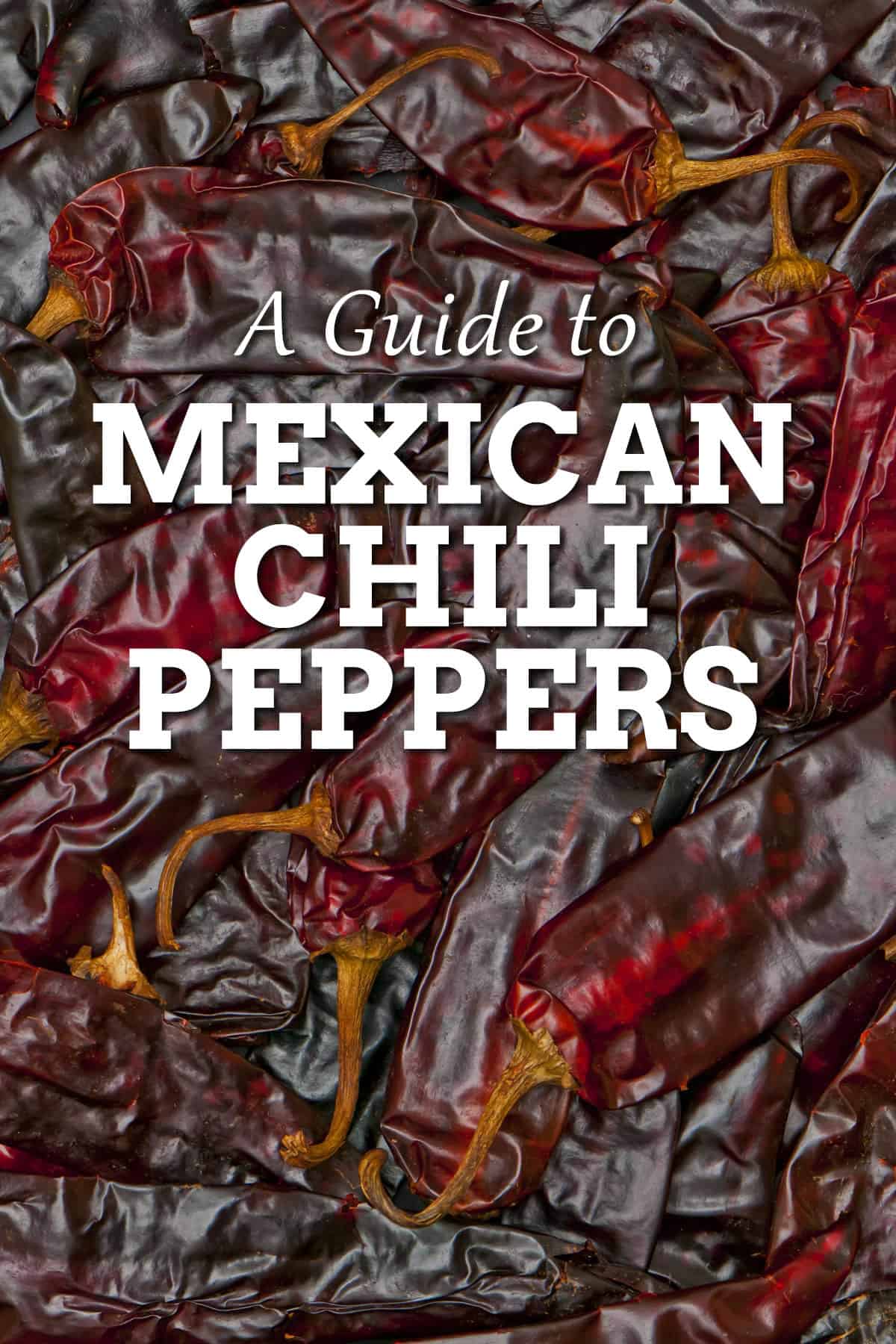 A Guide to Mexican Chili Peppers - Chili Pepper Madness