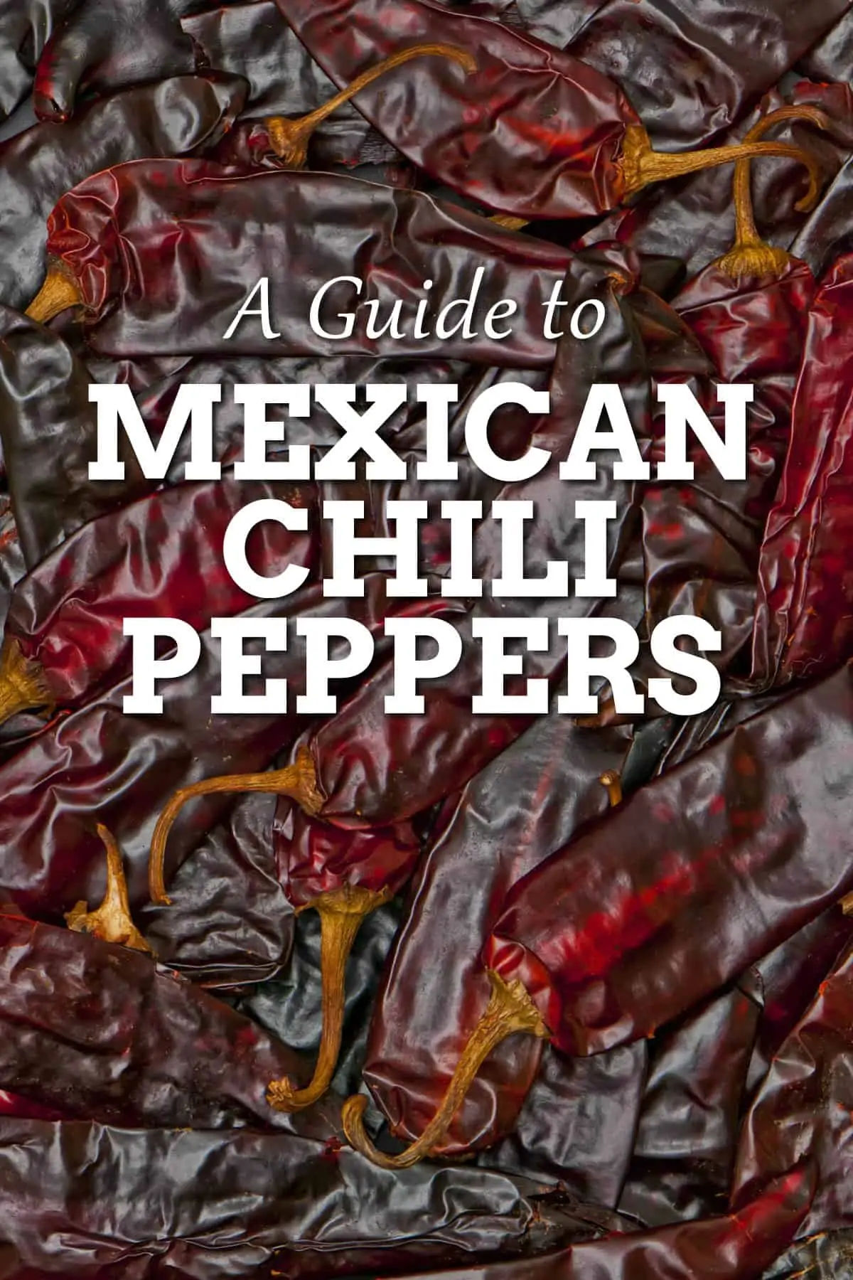 A Guide to Mexican Peppers