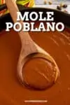 Mole Poblano Recipe