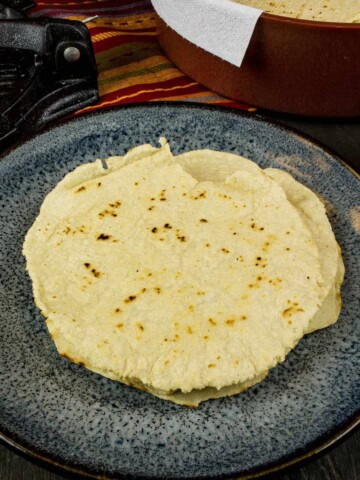 Homemade Corn Tortillas Recipe