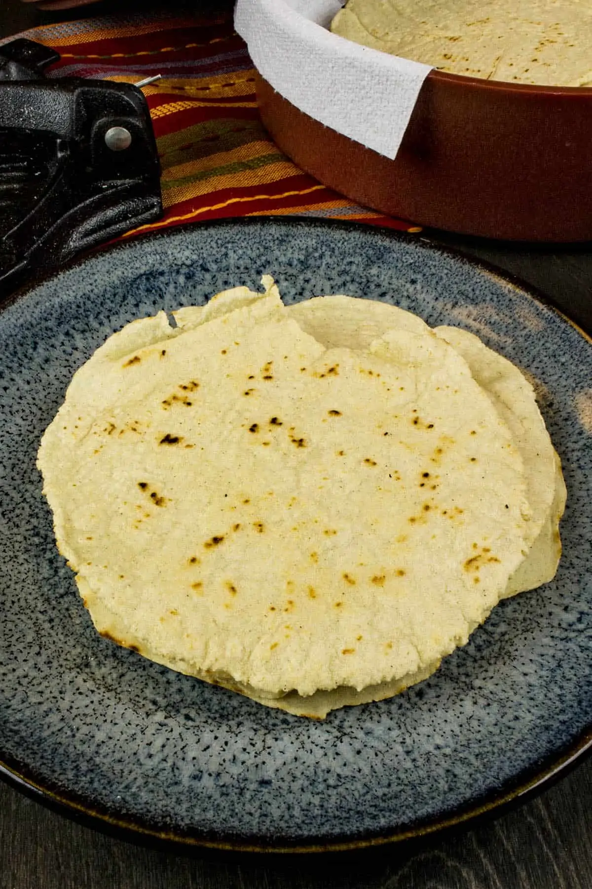 Homemade Corn Tortillas Recipe