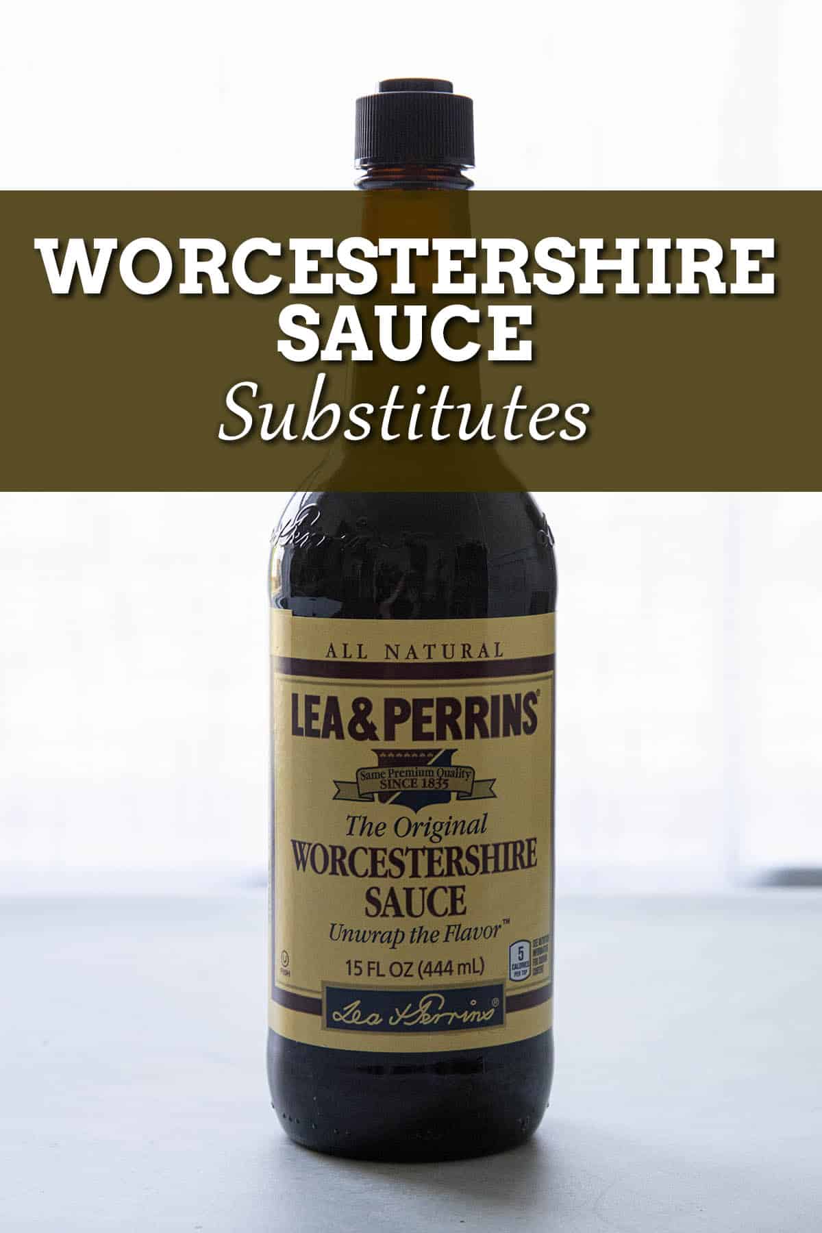 Best Worcestershire Sauce Substitute – A Couple Cooks