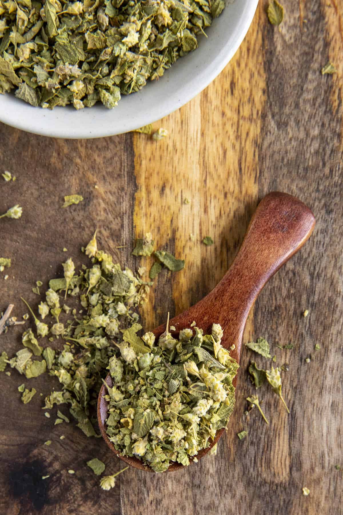 Mexican Oregano on a spoon