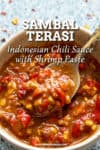Sambal Terasi (Indonesian Chili Sauce with Shrimp Paste)