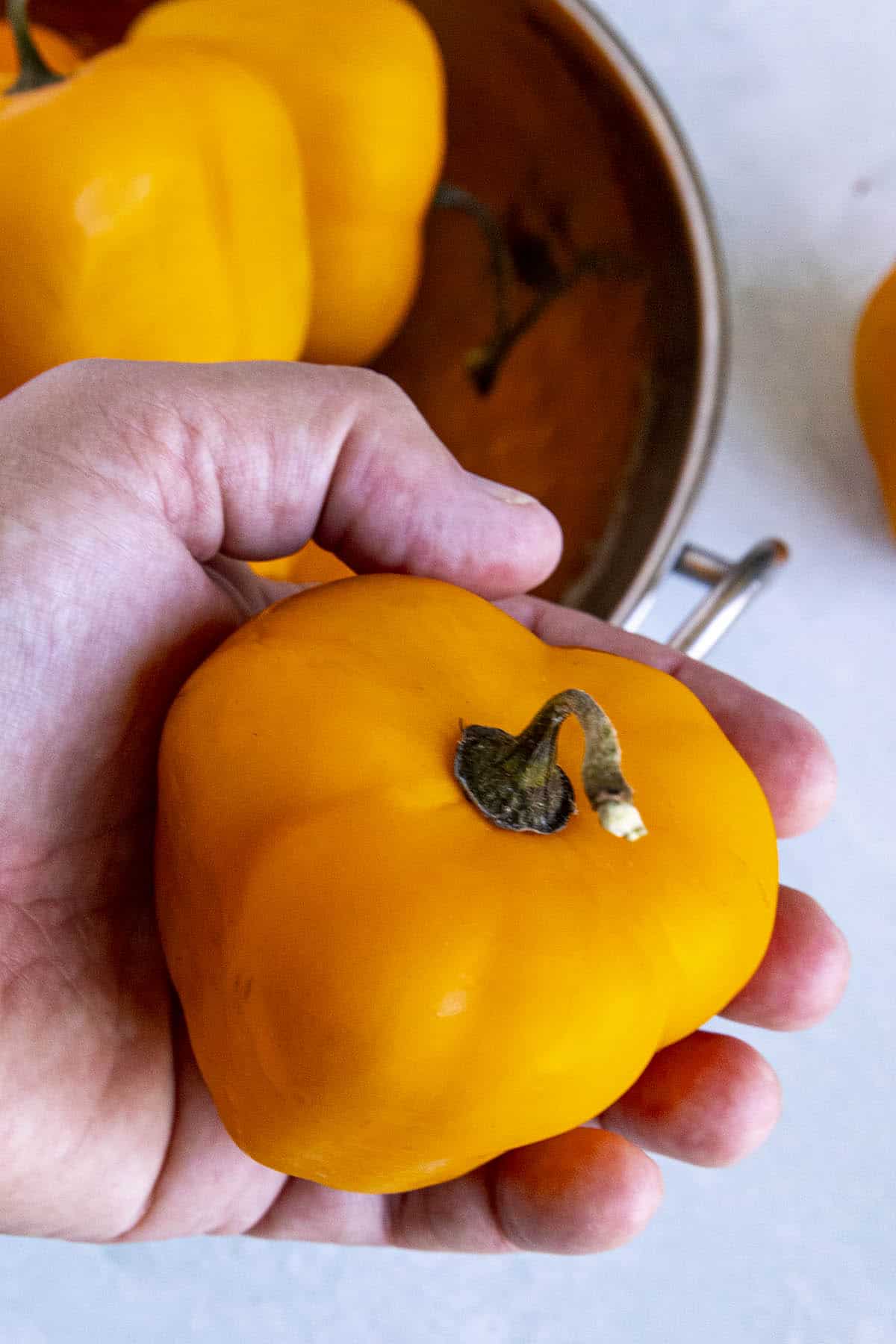 Mike holding a Manzano Pepper in his hand