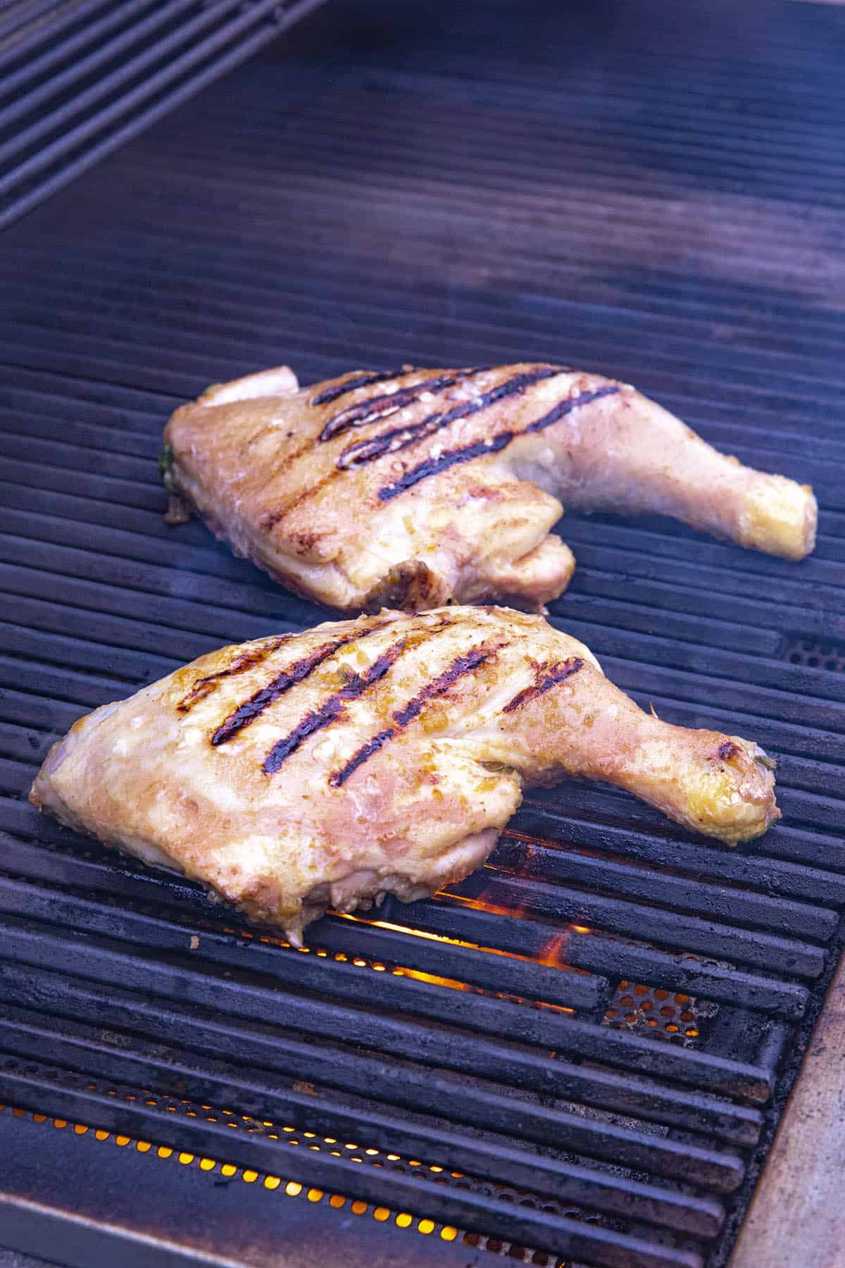 Jerk Chicken on the grill