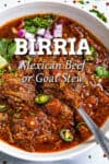 Mexican Birria Recipe