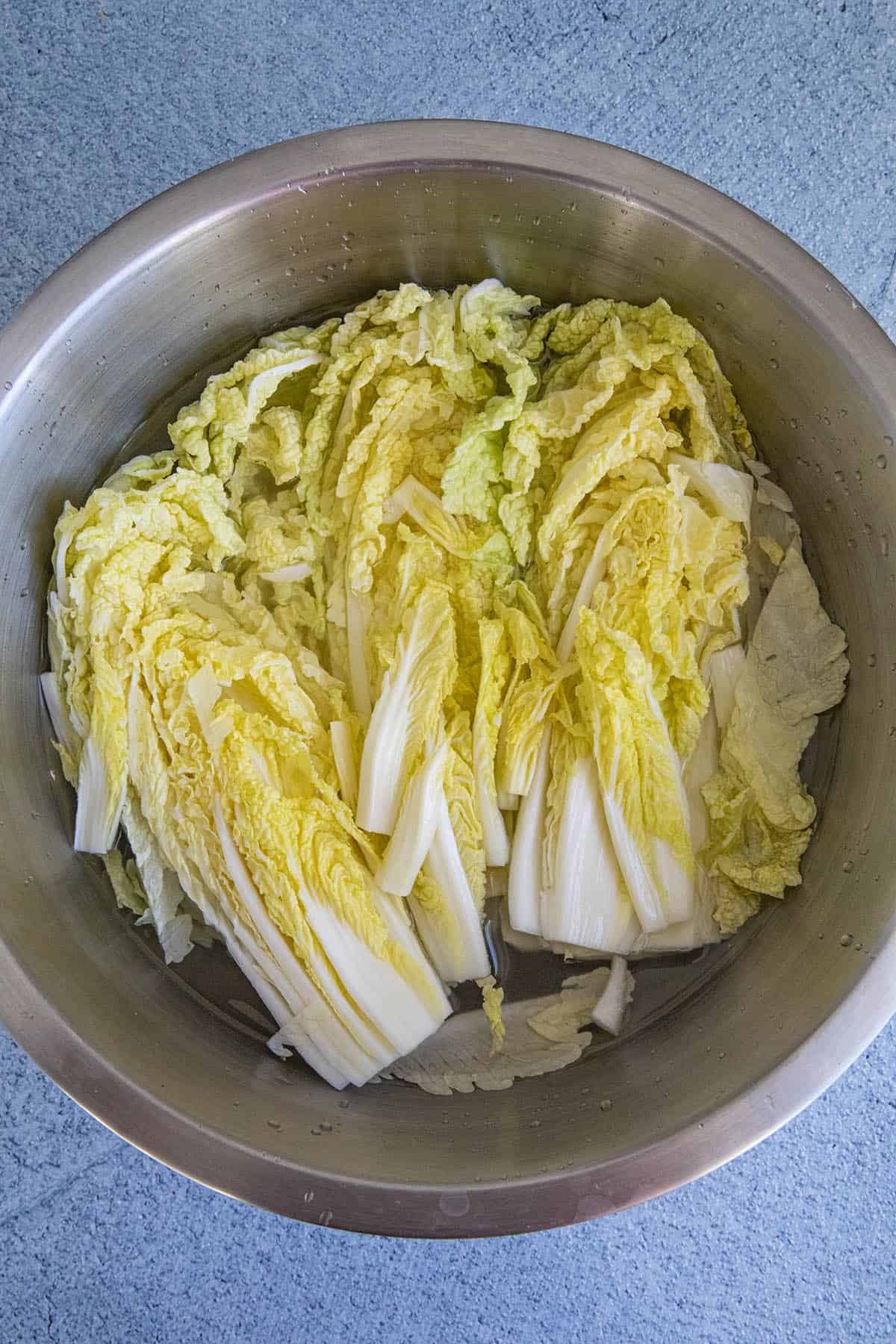 Rinse and brine the cabbage to ferment