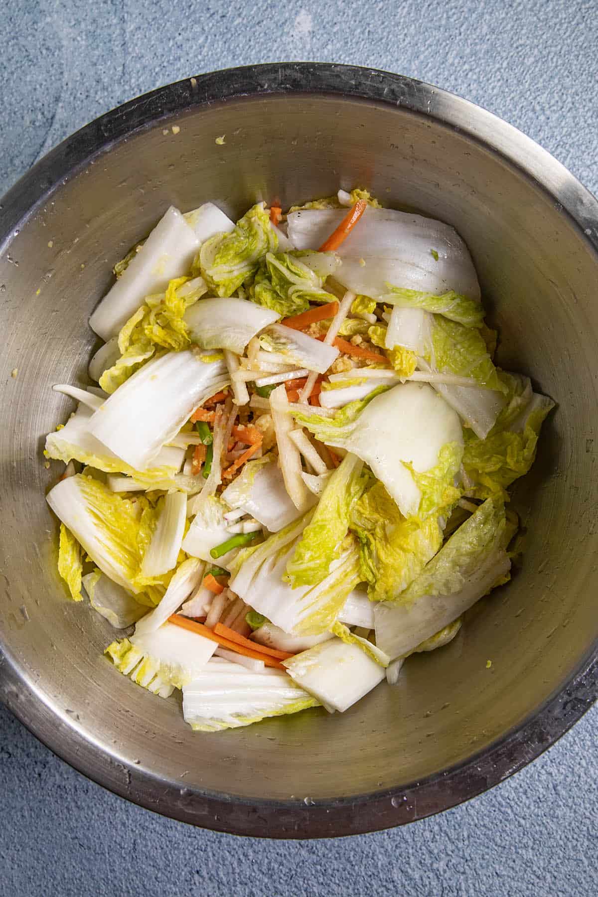Chopped cabbage and vegetables in a large bowl for making kimchi