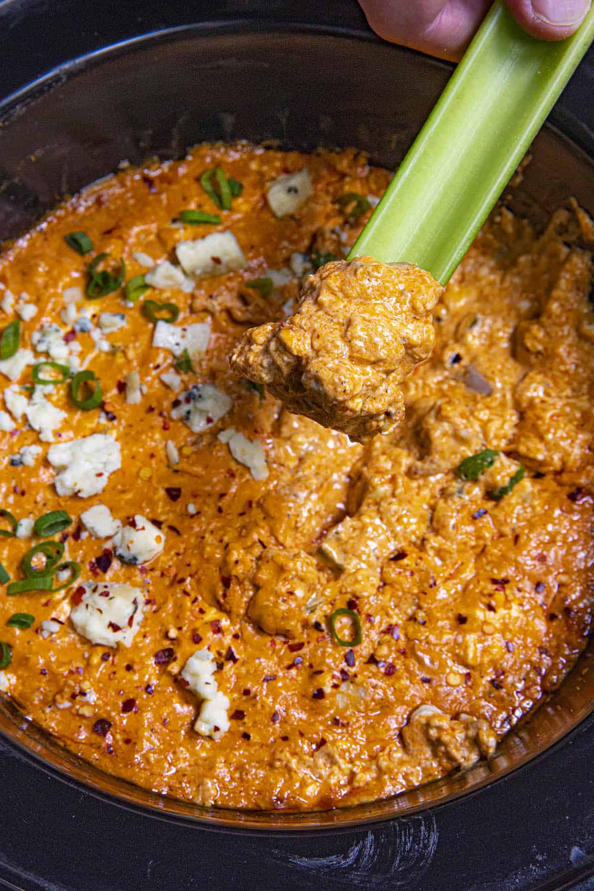 Crockpot Buffalo Chicken Dip on a celery stalk