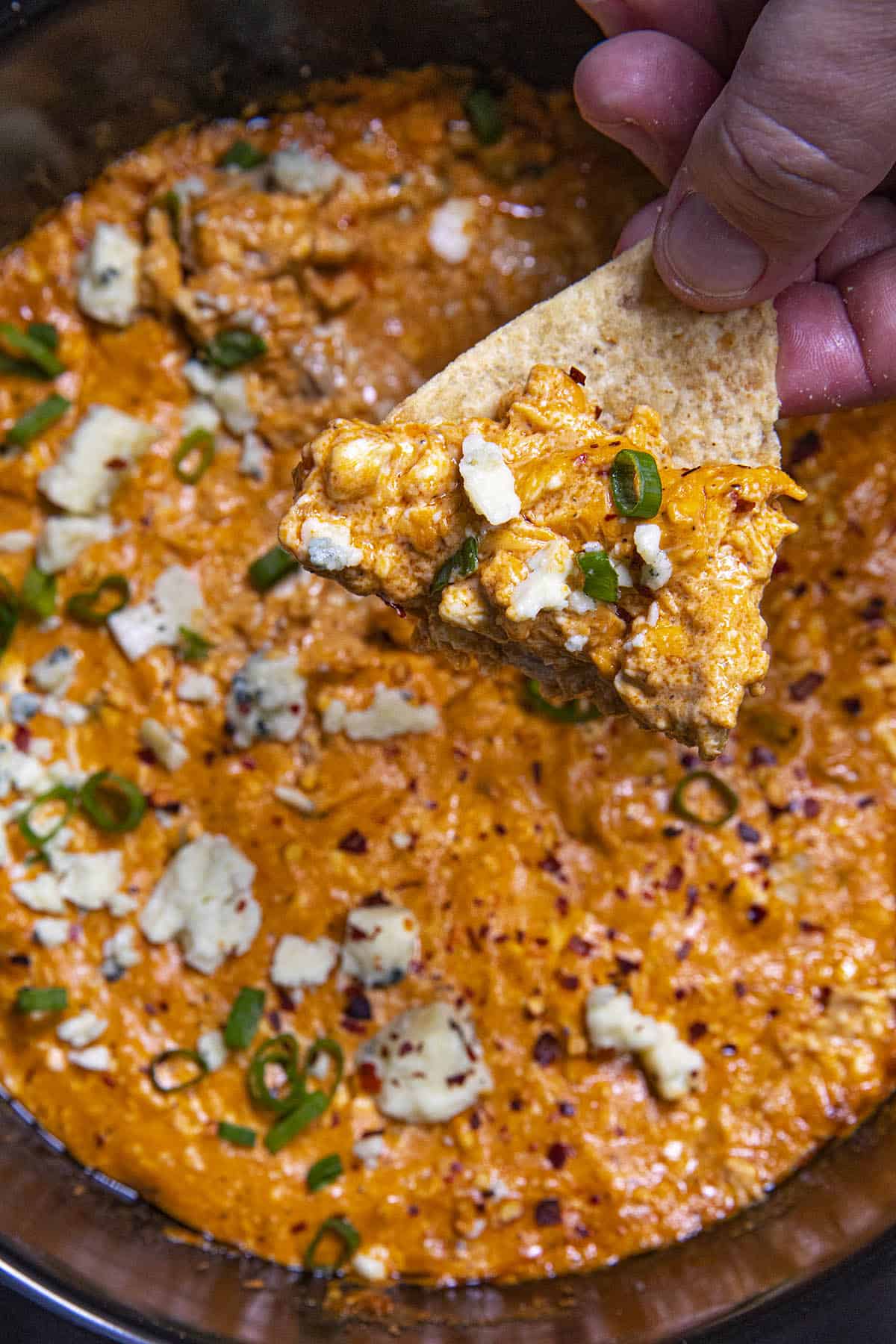 Crockpot Buffalo Chicken Dip on a tortilla chip