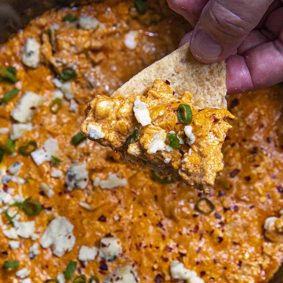 Crock Pot Buffalo Chicken Dip