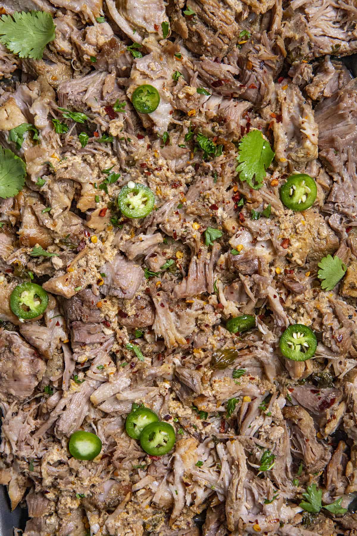 Shredded Pork Carnitas (Mexican pulled pork) on a platter, ready to serve