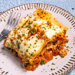 Mexican Lasagna Recipe