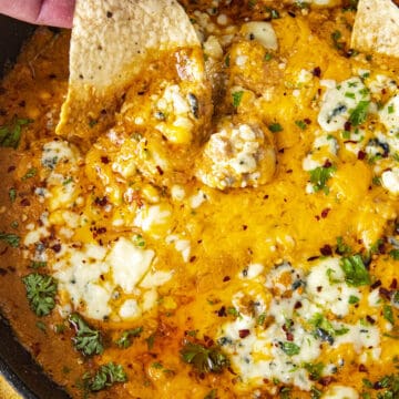 Buffalo Chicken Dip Recipe