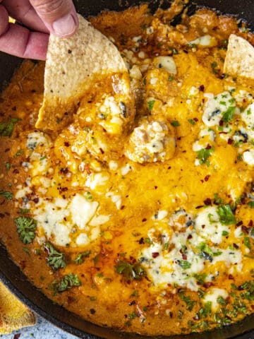 Buffalo Chicken Dip Recipe