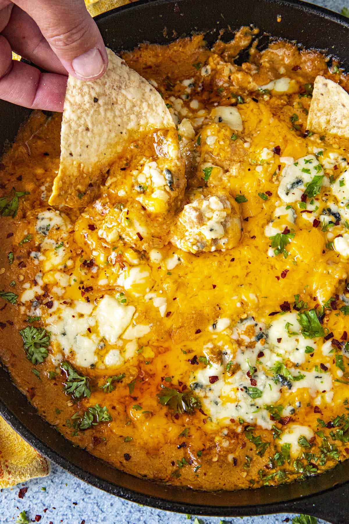 Buffalo Chicken Dip Recipe