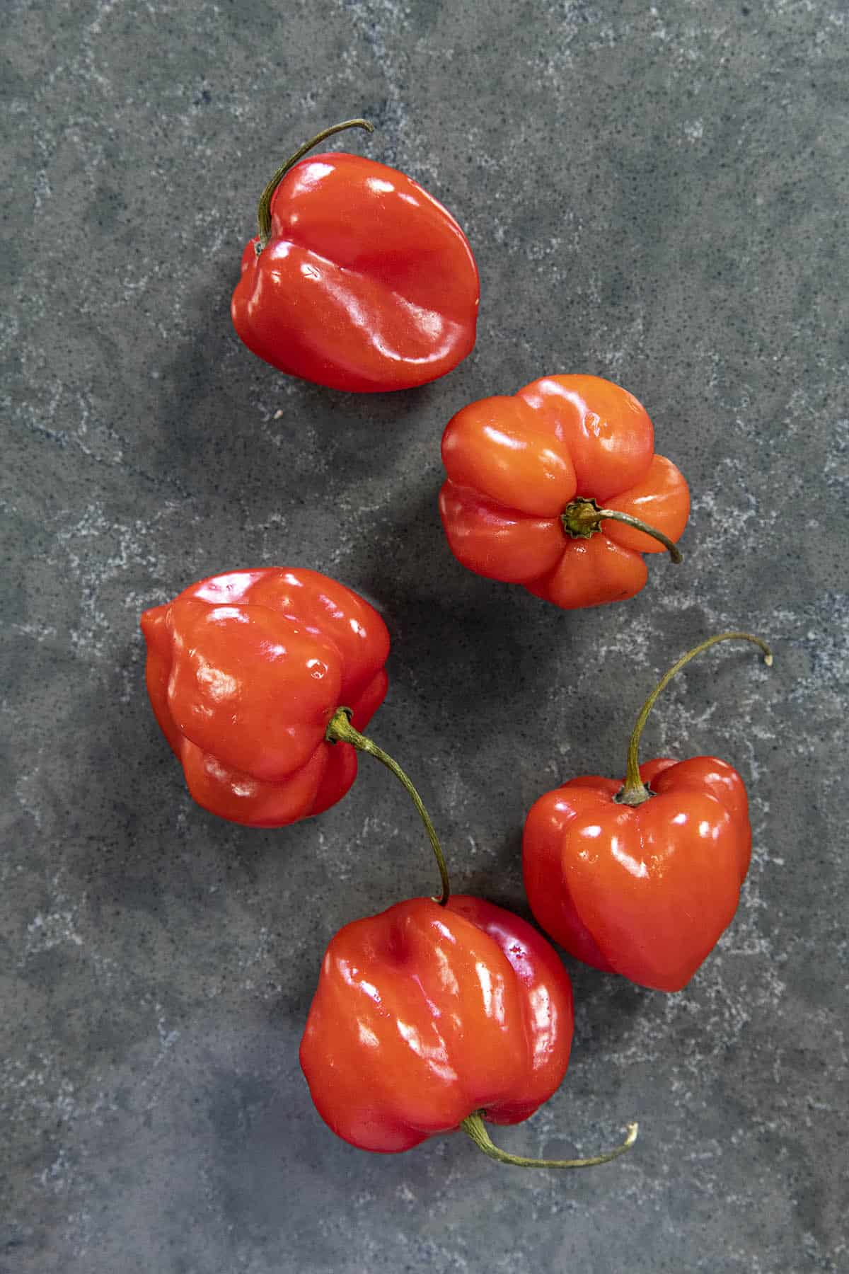 Caribbean red habanero peppers for making Habanero Hot Sauce