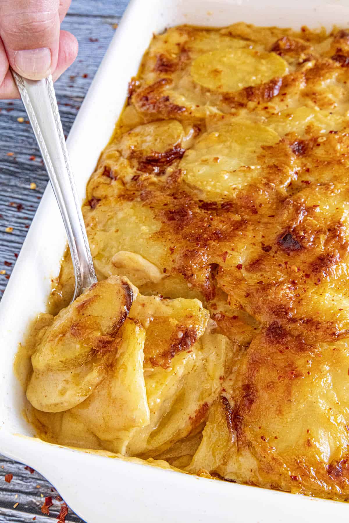 Mike serving cheesy Scalloped Potatoes