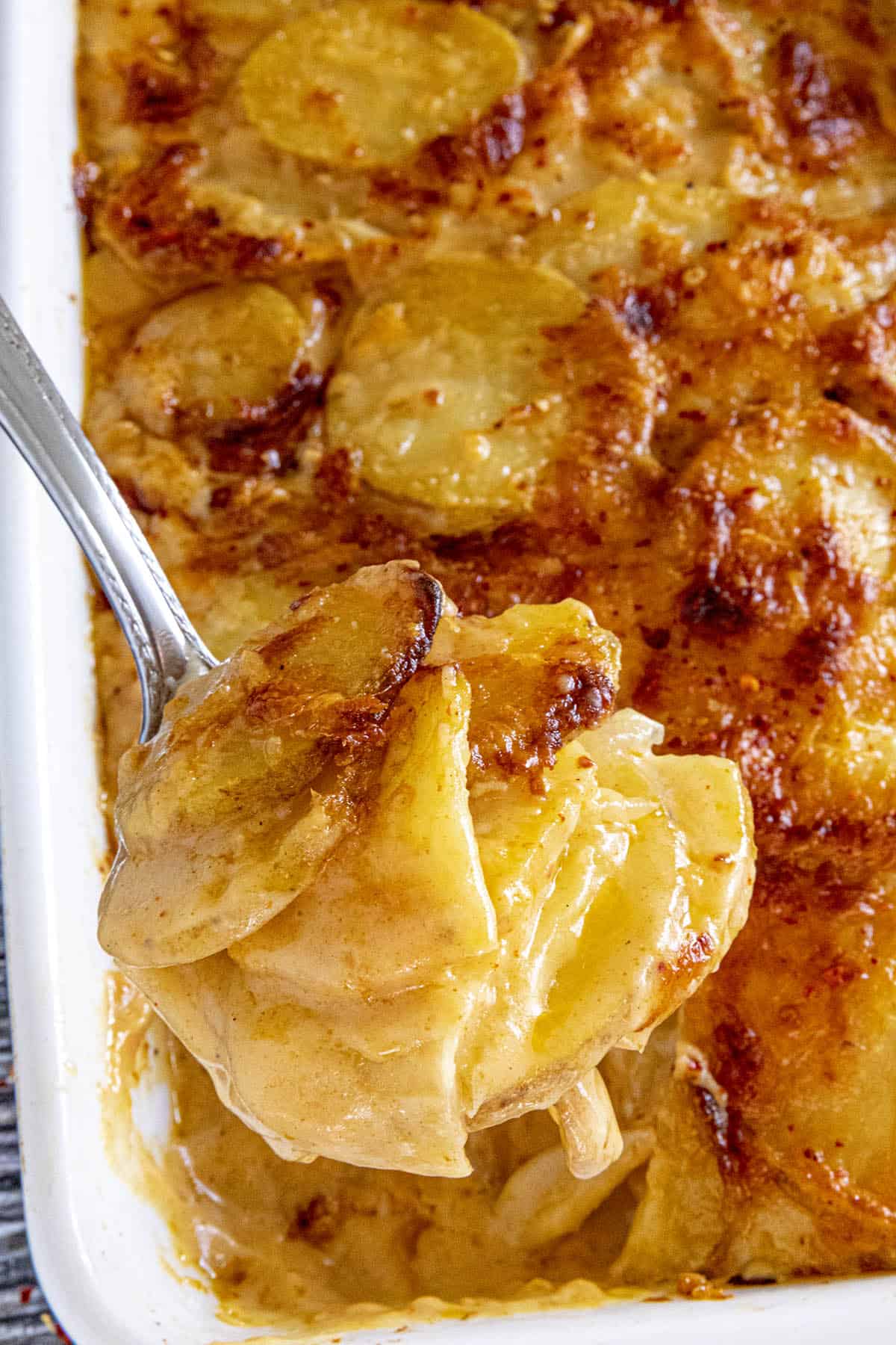 Scalloped Potatoes on a serving spoon