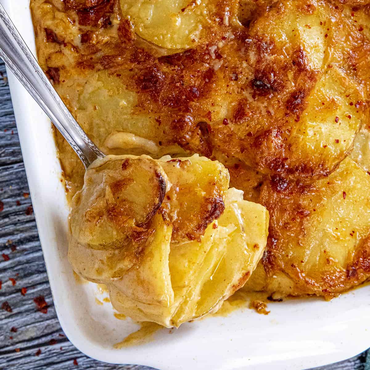 Scalloped Potatoes Recipe Chili Pepper Madness