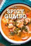 Spicy Gumbo Recipe