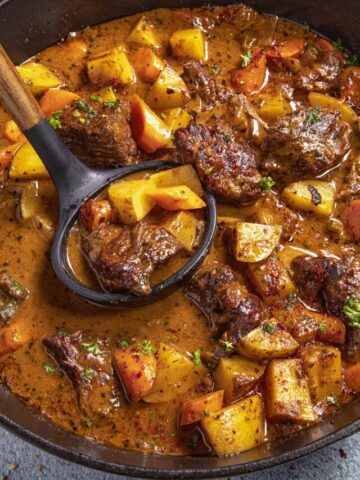 Mike serving a scoop of beef stew from the pot