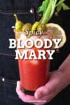 Spicy Blood Mary Recipe