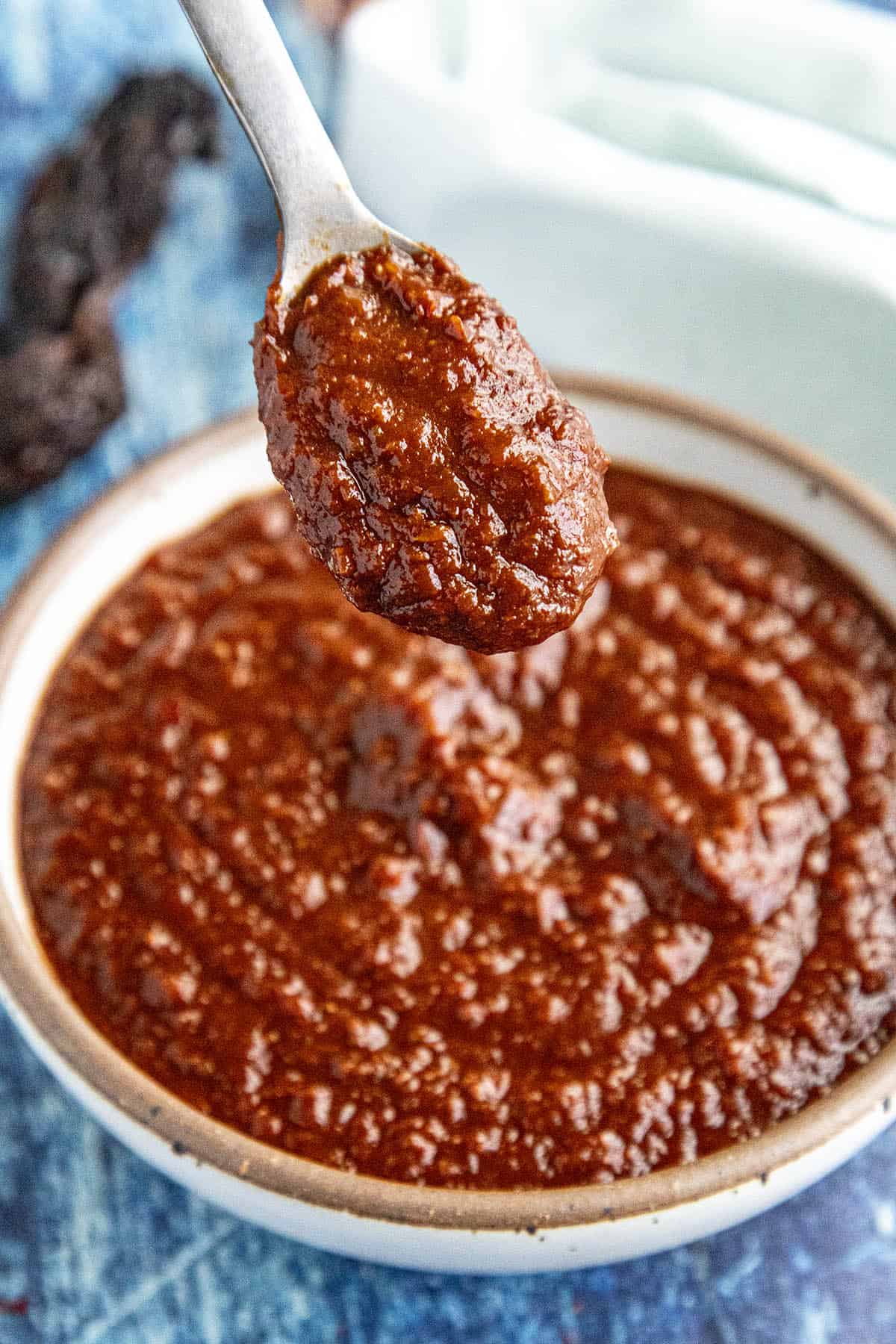 A spoonful of Mexican adobo sauce