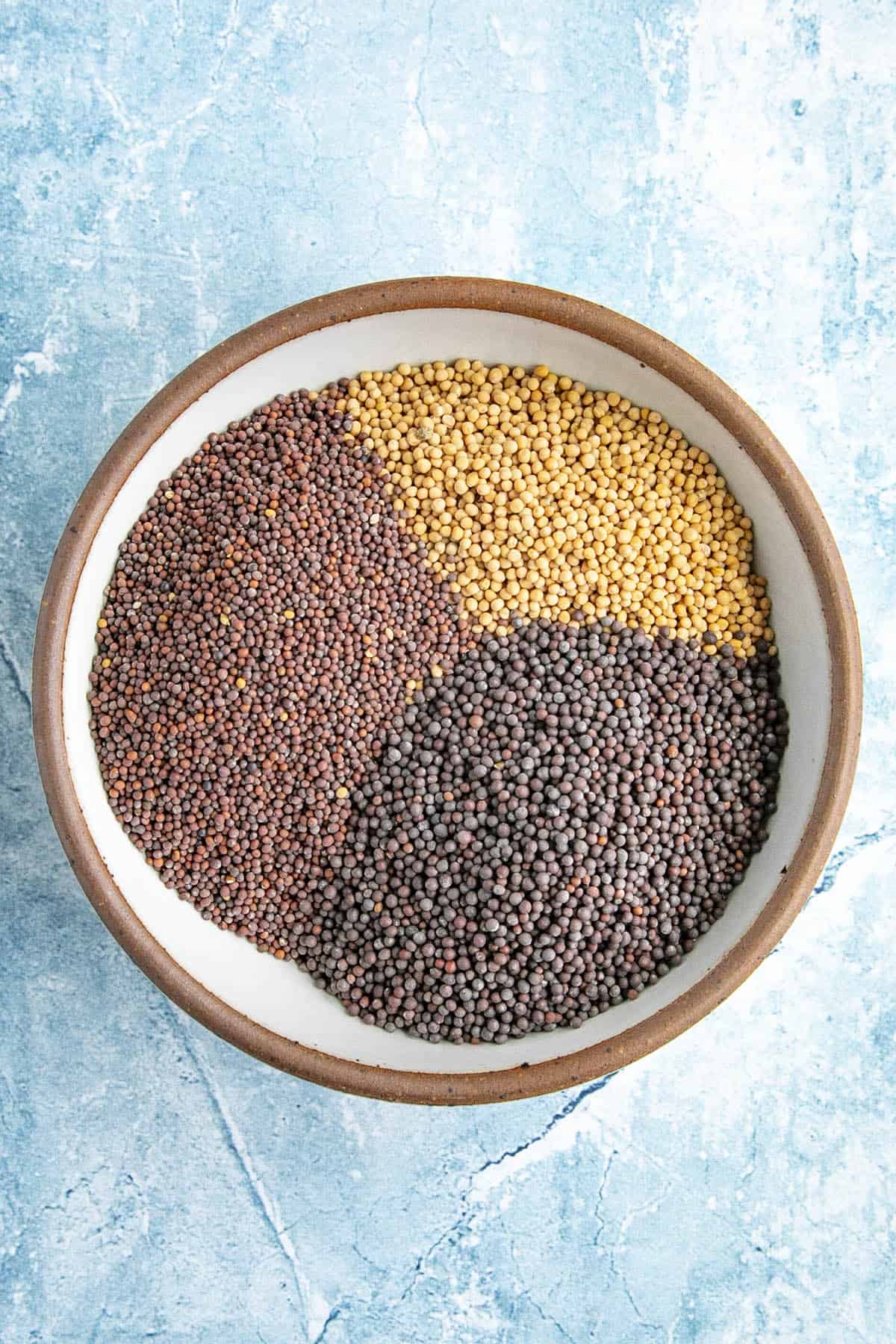 Three types of mustard seeds for making spicy mustard