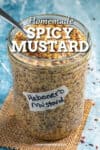 Spicy Mustard Recipe