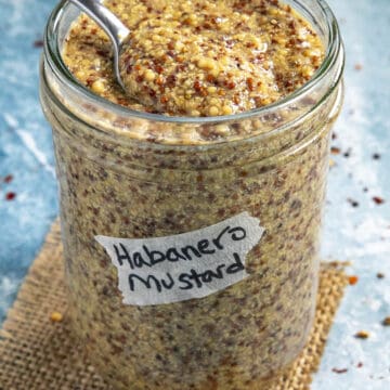 Spicy Mustard Recipe