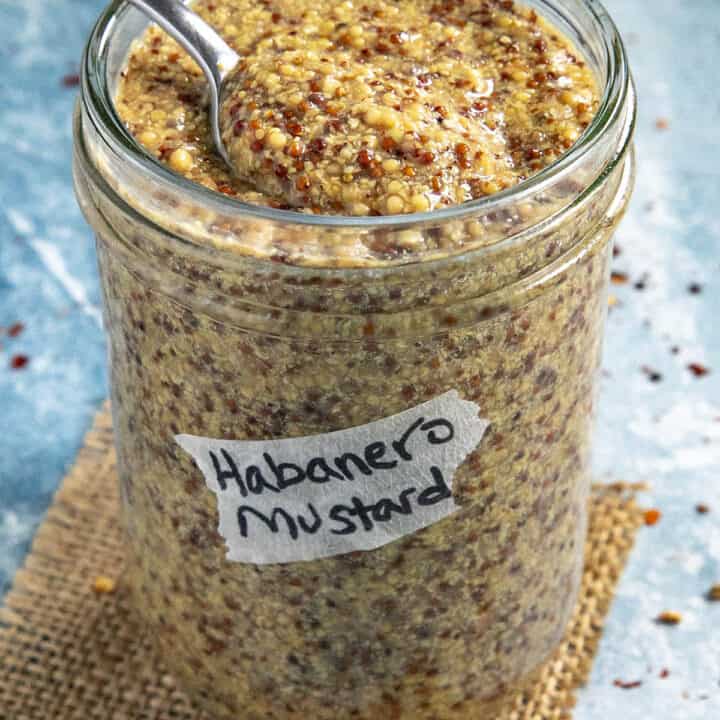 Spicy Mustard Recipe