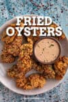 Fried Oysters Recipe