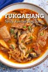 Yukgaejang Recipe (Spicy Korean Vegetable Beef Soup)