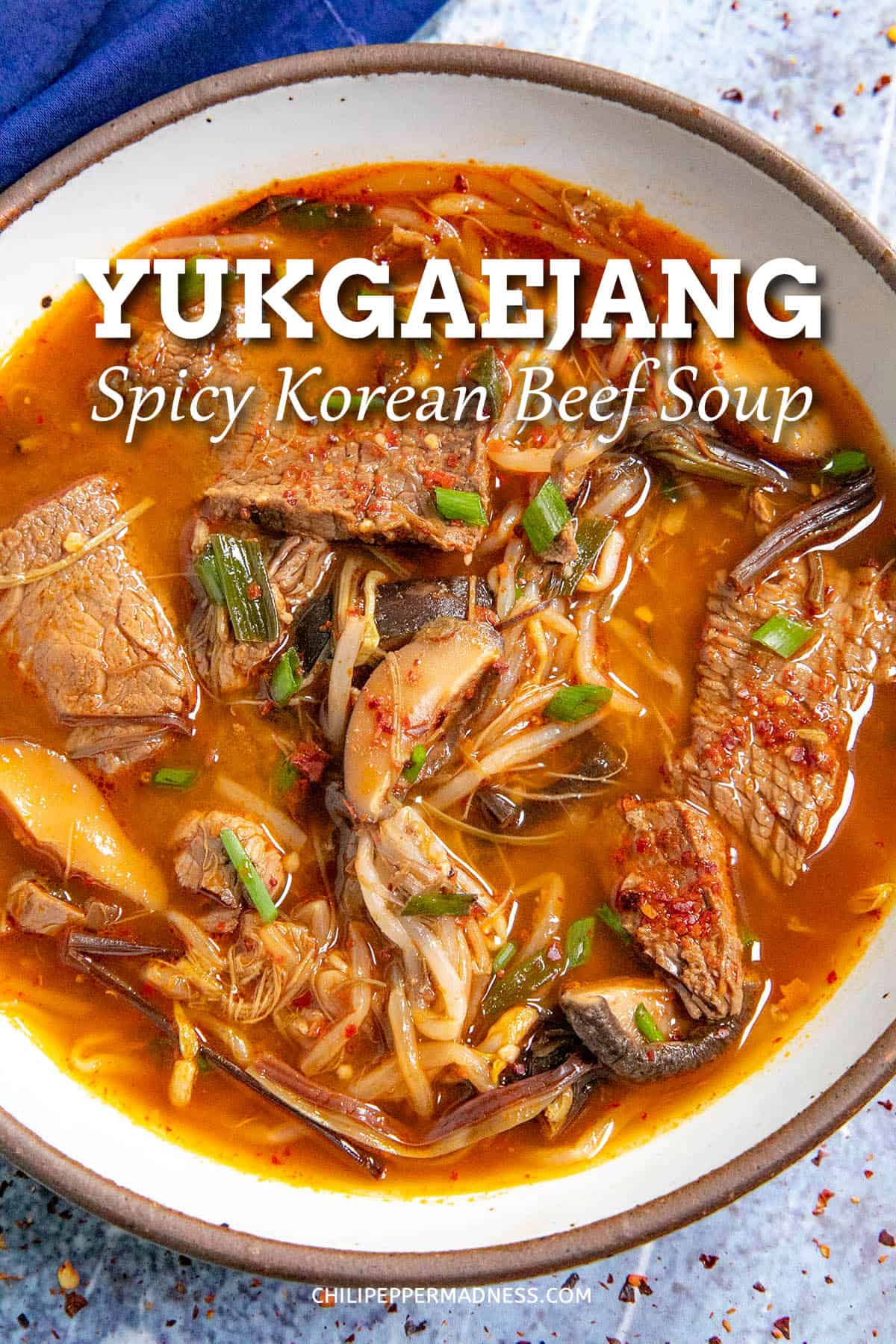 Yukgaejang Recipe (Spicy Korean Beef and Vegetable Soup) Chili Pepper
